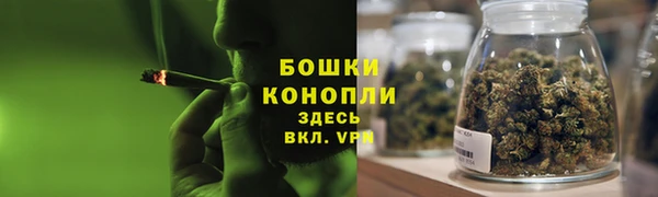 метадон Няндома