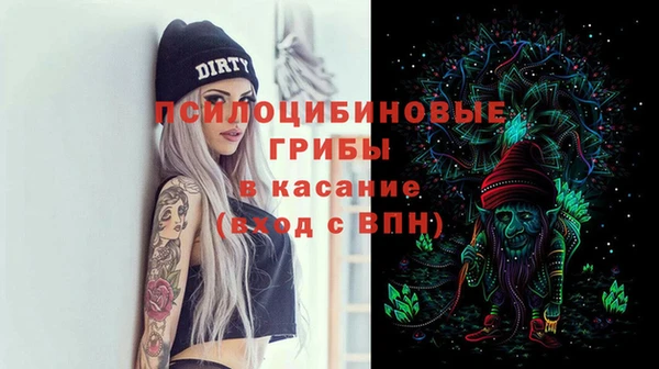 метадон Няндома