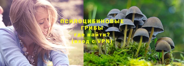 синтетический гашиш Болотное