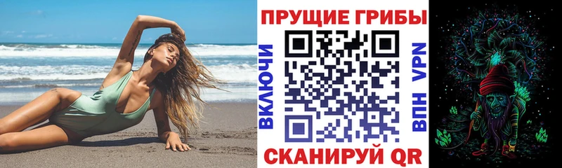 купить закладку  Белебей  Псилоцибиновые грибы GOLDEN TEACHER 